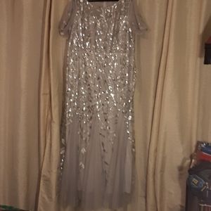 Plus size 24 sequin embridered evening gown